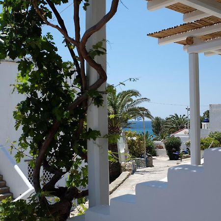 Ark Tinos Apartamento Agios Loannis Exterior foto