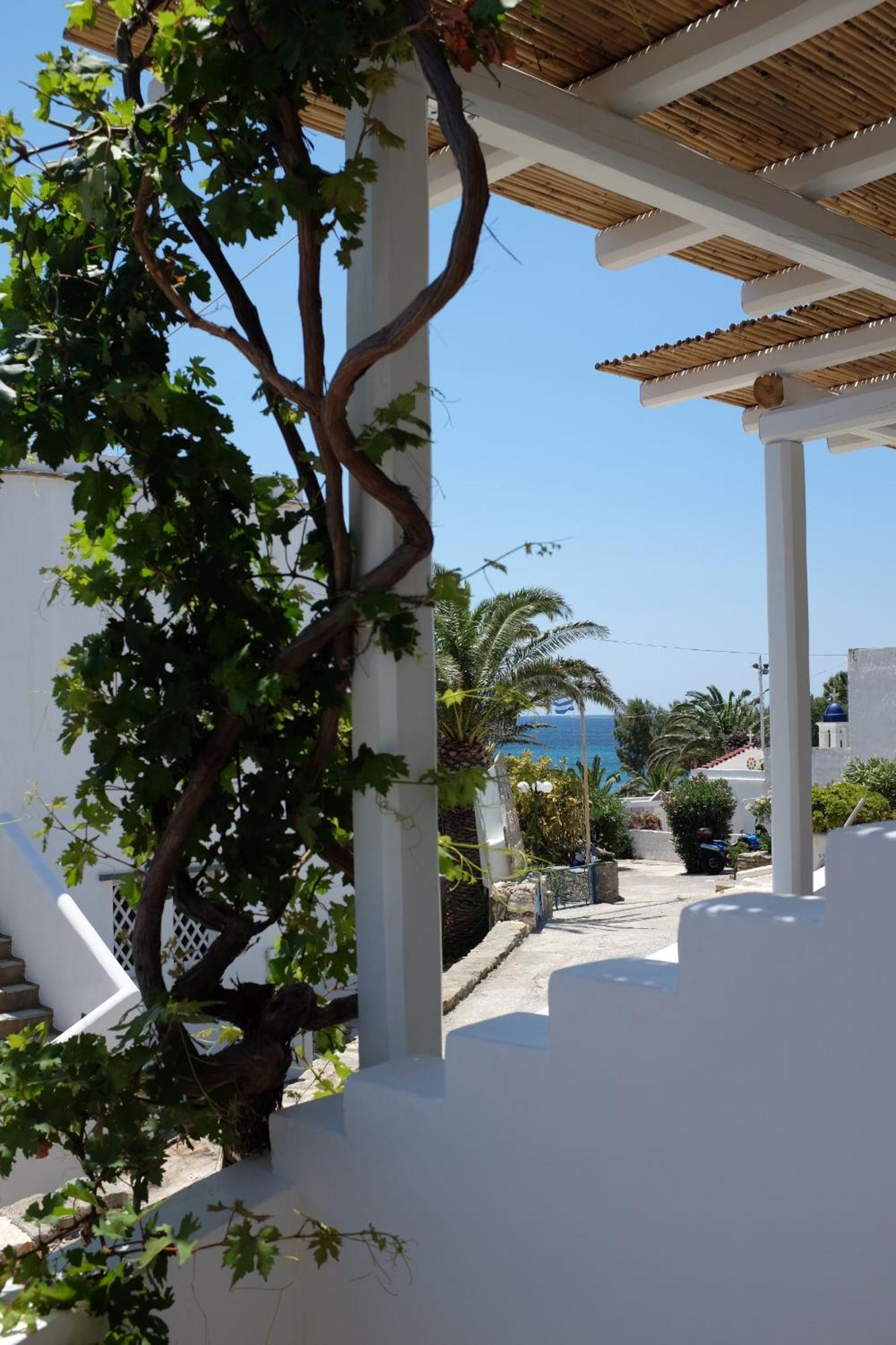 Ark Tinos Apartamento Agios Loannis Exterior foto
