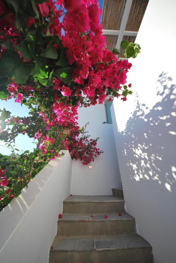 Ark Tinos Apartamento Agios Loannis Exterior foto