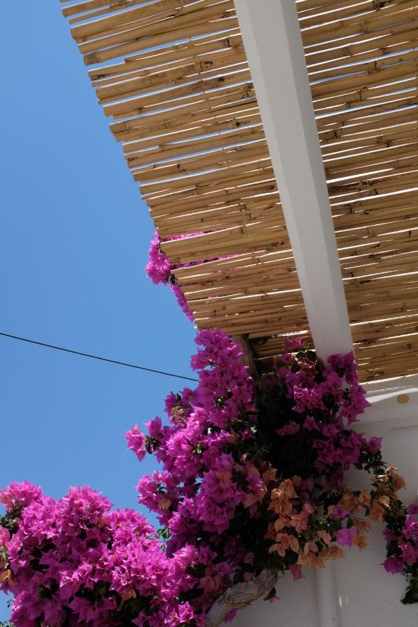 Ark Tinos Apartamento Agios Loannis Exterior foto