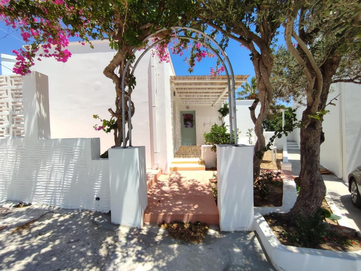 Ark Tinos Apartamento Agios Loannis Exterior foto