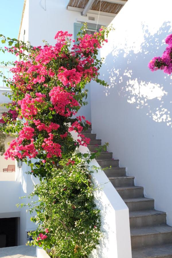 Ark Tinos Apartamento Agios Loannis Exterior foto
