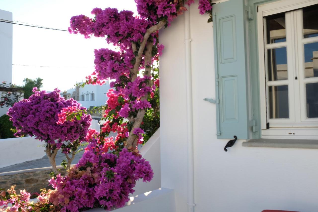 Ark Tinos Apartamento Agios Loannis Exterior foto